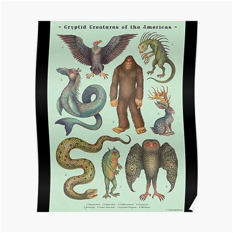 Cryptids Of The Americas Cryptozoology Species Poster Poster For Sale