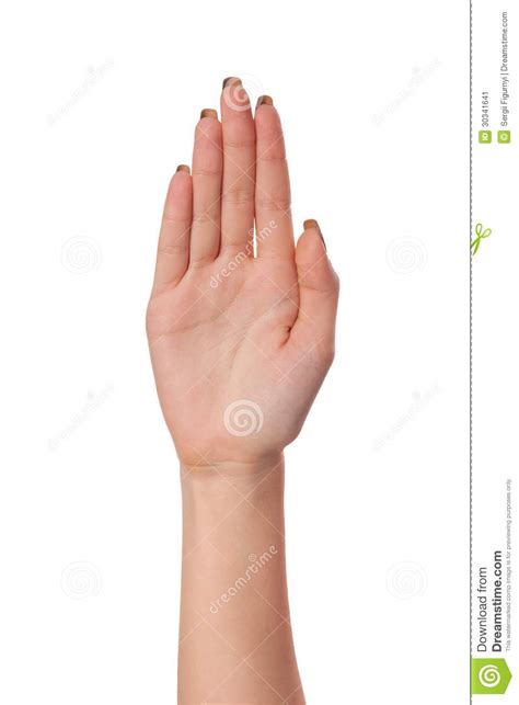 Weibliches Palmenhandzeichen Lokalisiert Auf Weiß Stockbild Bild Von