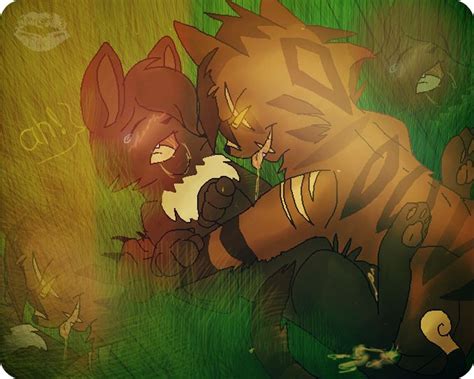 Post 1346824 Ravenpaw Tigerstar Warriorcats