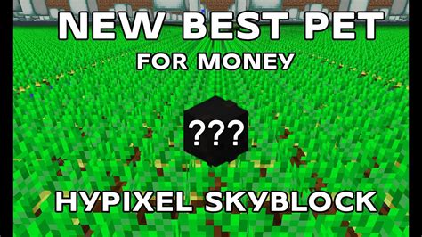 BEST pet to get tons of MONEY | Hypixel Skyblock - YouTube