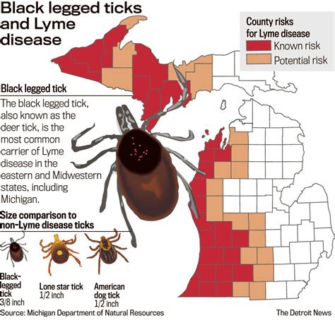 Lyme Disease In Michigan Map United States Map