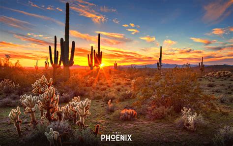100 Phoenix Arizona Wallpapers