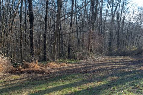 Beautifully Wooded 10.47 +/- Lot - Vanderburgh County, IN