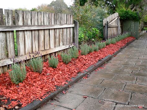 Top grafted trees do not require complicated pruning and are ideal for small spaces. Aggregata Plants & Gardens: How to create and maintain a ...