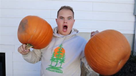 LAUNCHING PUMPKINS vs Mr Beast Planting 20 Million Trees ...