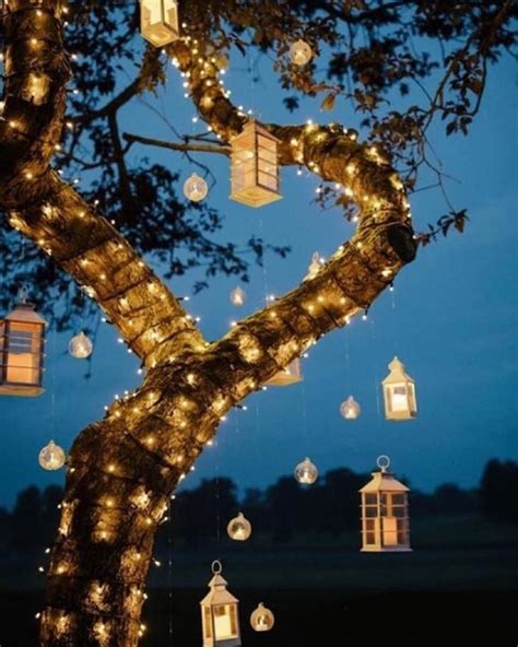 outdoor tree lighting ideas