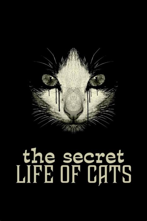 The Secret Life Of Cats 2014 — The Movie Database Tmdb