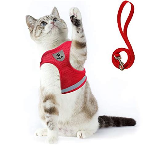 Escape proof cat harness with leash sold with a flexible bungee leash for gentle leading. Top 10 Cat Harnesses Escape Proof of 2020 | No Place ...