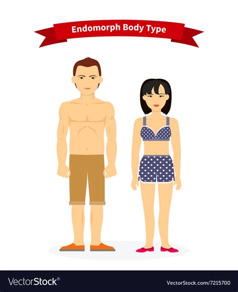 Endomorph Body Type Woman And Man Royalty Free Vector Image