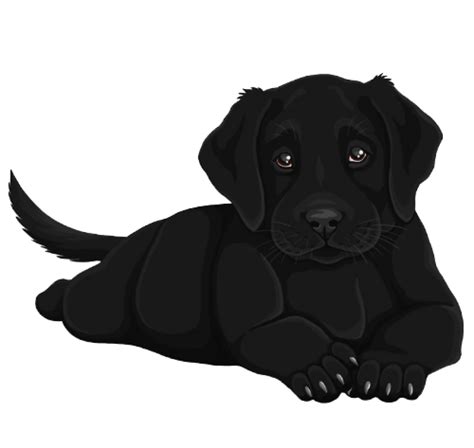 Puppy Black Labrador Dog Transparent Png Png Mart