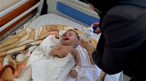 Conflito Entre Israel E Palestinos Quem O Beb Sobrevivente De