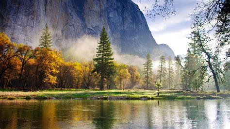 Nature Mountains Forest Spruce Lake Mist Morning Fog Reflection Fall