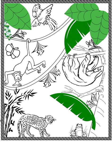 How To Draw Tropical Rainforest We Love To Study The Rainforest