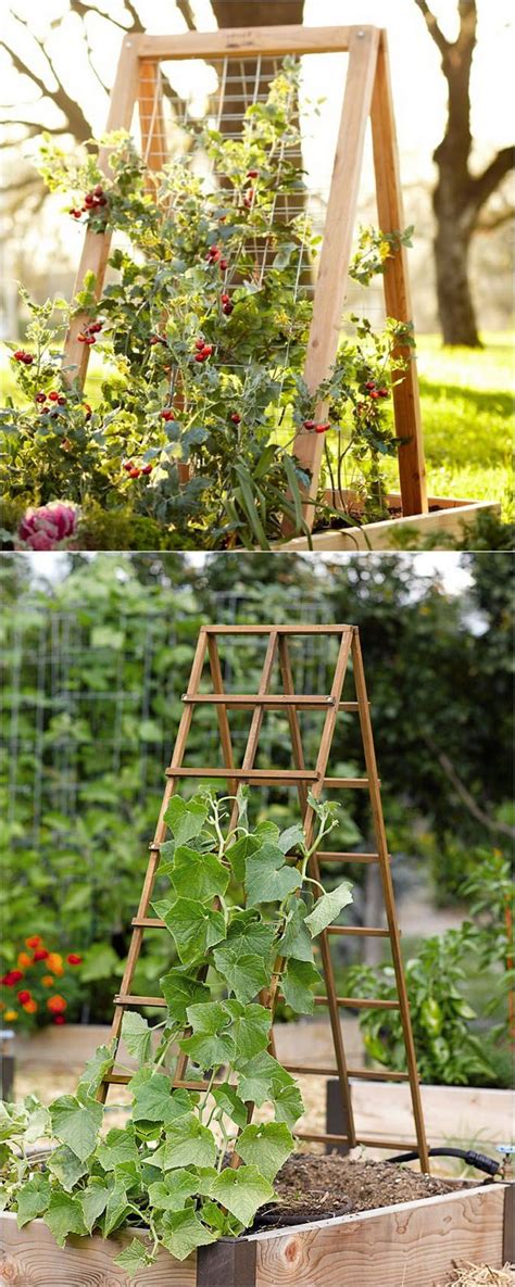 10 Vegetable Garden Trellis Ideas Simphome Diy Garden Trellis