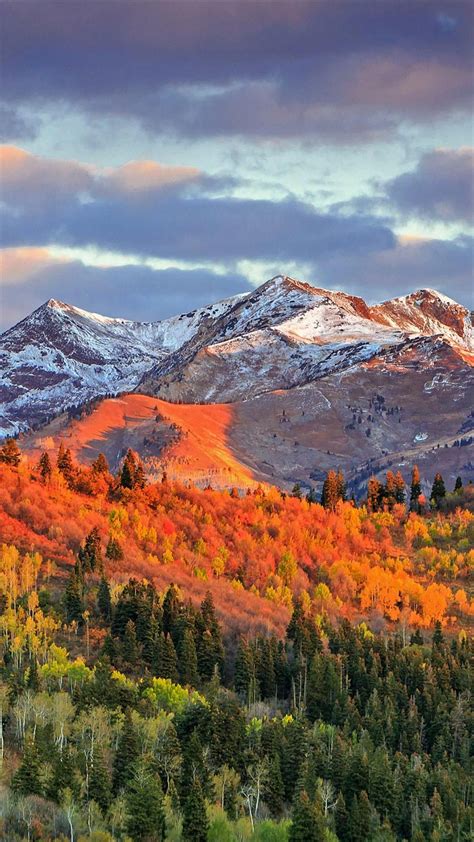 Rocky mountain national park bear lake longs peak – Artofit