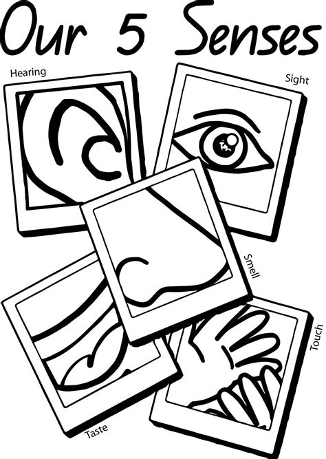 5 Senses Coloring Pages Sketch Coloring Page