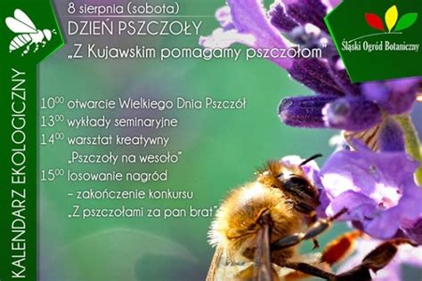 20 maja obchodzimy światowy dzień pszczół ustanowiony przez onz. Wielki Dzień Pszczoły w Śląskim Ogrodzie Botanicznym - 2015 r.
