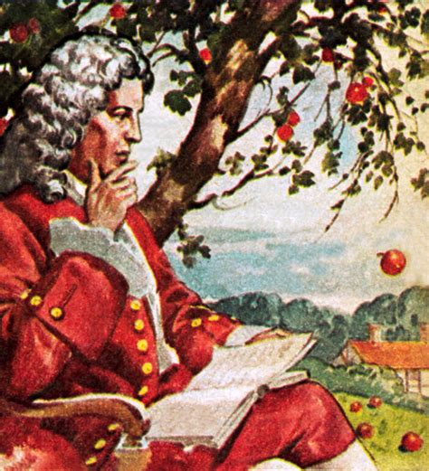 Everything comes together so nicely in newton and the apple tree that, while at times you might scratch your head in confusion as to what yotsuka we hope you found our review of newton and the apple tree to be a worthwhile read, and that it was insightful. English For Brazilian People - efbp: The Apple and The ...