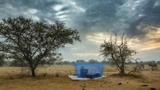 Nonuwa na sun fi naki (allah ya shirya). Yadda 'yan mata ke zabar mijin aure a Chadi - BBC Hausa