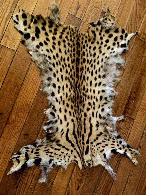 American Cheetah Original Fur At 1stdibs