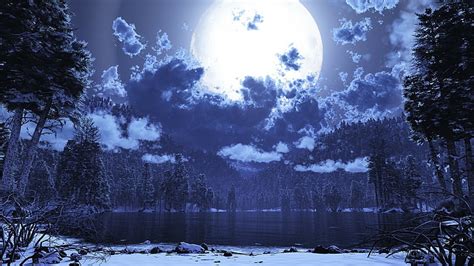 Natura Niebo światło Księżyca Zima Supermoon Drzewo Pełnia