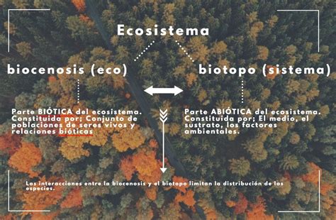 O Que é Biocenose