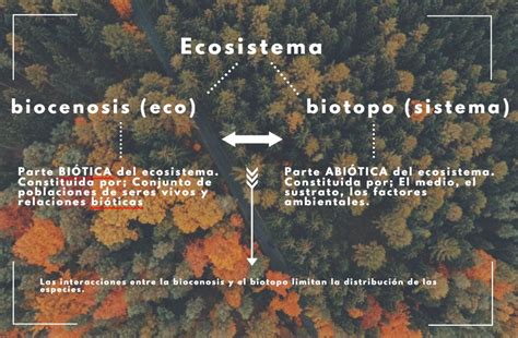 Biocenosis Habitat Y Biosferas