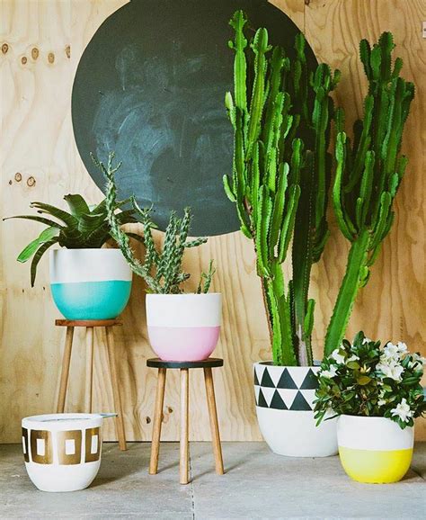Identify soil types, garden aspects and more in our guide to know which plants to put in your garden. 99 Great Ideas to display Houseplants | Indoor Plants ...