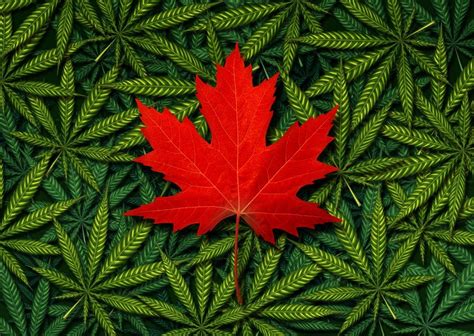 United states coinbase, inc., the company which operates coinbase and gdax in the u.s., is licensed to engage in money transmission in most u.s. Marijuana in Canada - Changing Laws and Greener Pastures ...