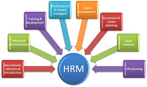 Reasons To Outsource Your Hr Function Flexi Ventures Recruitment Staffing Executive