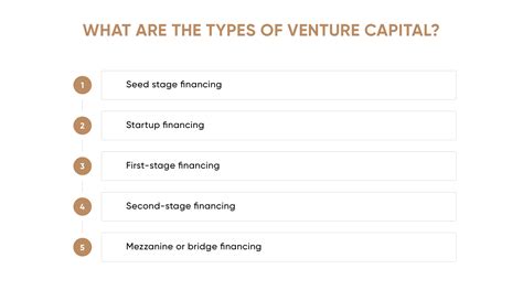 How Does Venture Capital Work