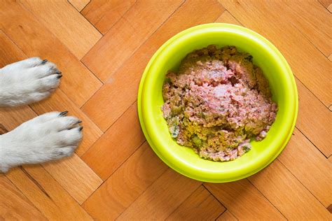 10 Best Supplement To Balance Homemade Dog Food Multivitamins Pet Ishly