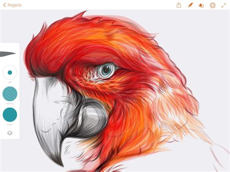 New Adobe Illustrator Draw App Now Available for iPad - iClarified
