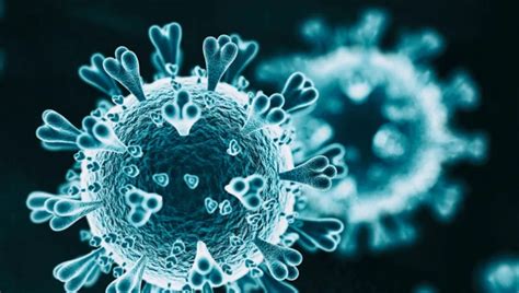 This chinese term is a hot word. 比尔·盖茨发文：新冠肺炎暴发，我们应如何面对危机_疫情