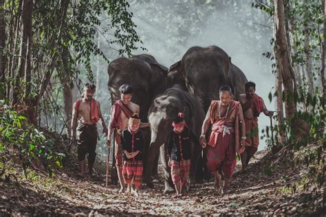 Homem E Crianças Entrando Na Selva Com O Elefante Momentos Do Estilo De Vida Do Norte Da