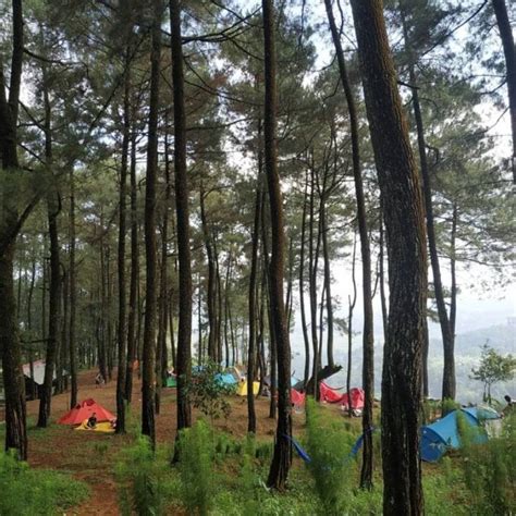 Tempat Camping Di Bogor Dengan Pemandangan Keren