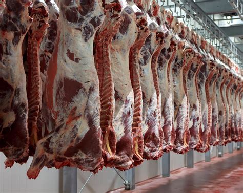 Meat Processing - Coolers & Condensers, Commercial & Industrial Cooling