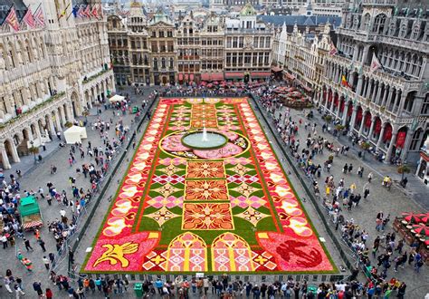 We did not find results for: Flower Carpet, Brussels