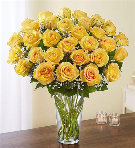 Ultimate Elegance 3 Dozen Long Stem Yellow Roses