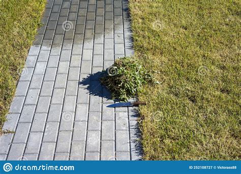Trimmed Grass On Tiled Path Stock Image Image Of Order Lawn 252108727