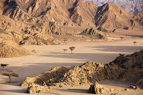 Sinai Desert Pictures Images And Stock Photos Istock