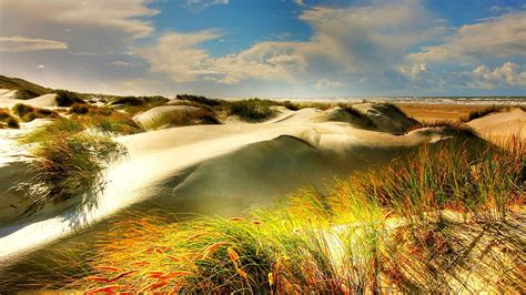 Desktop Wallpaper Dunes North Sea Beach Grass Hd Image Picture