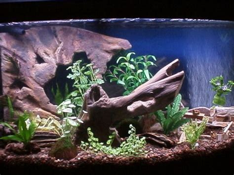 Home made aquarium slate decoration. DIY fake rock aquarium background. | Aquarium decoration ...