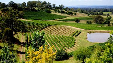 Located in the state of new south wales, the region has played a pivotal ro. Hunter Valley Wine Experience Day Tour in Sydney, Australia