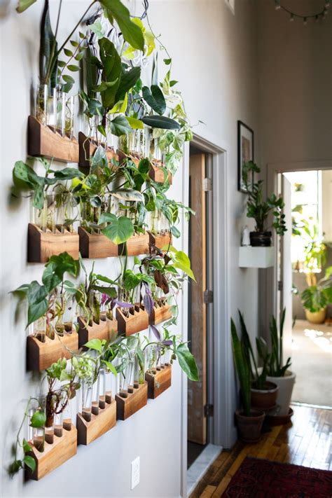 Indoor Plants Wall Hanging Plants Photo