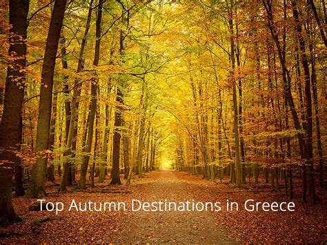 Top Autumn Destinations In Greece Hotel Kriopigi Halkidiki