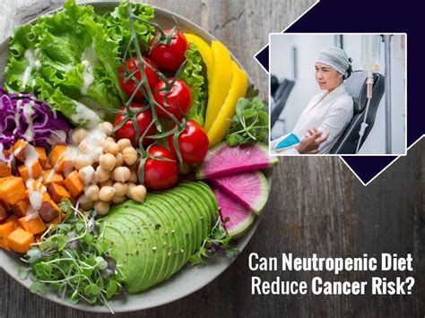 Collective Diet For Clinical Purposes Part 3 Neutropenic Diet And
