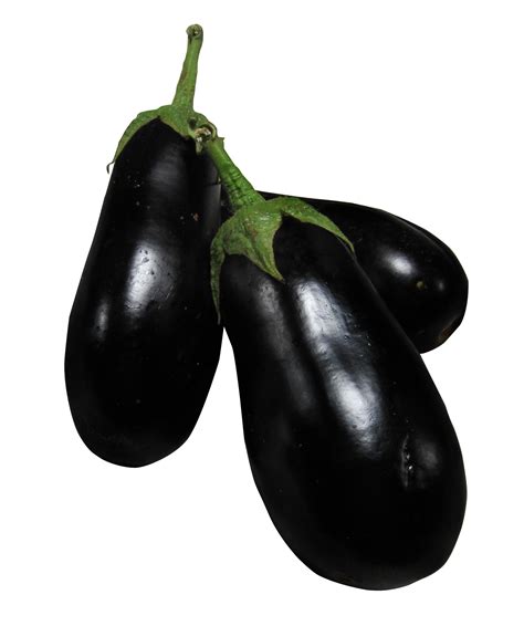Bunch Brinjal Eggplant Png File Png Mart