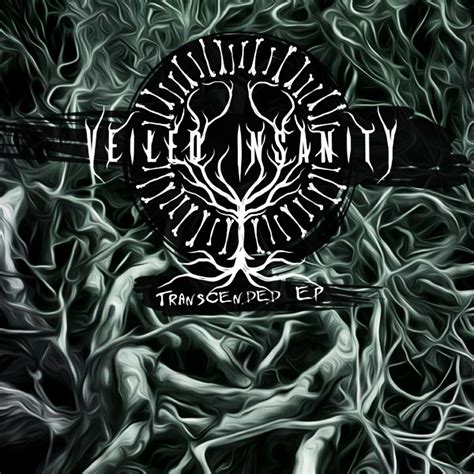 Veiled Insanity Transcended Ep 2020 Melodic Death Metal