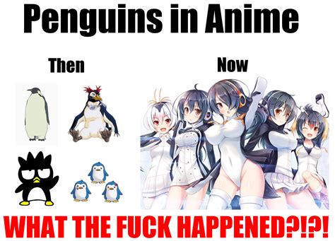 Penguins In Anime Ranimemes